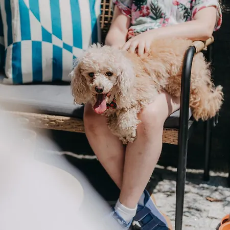 Zakoznami-willa Wypocynek Apartament *