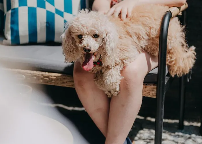 Zakoznami-willa Wypocynek Apartman *