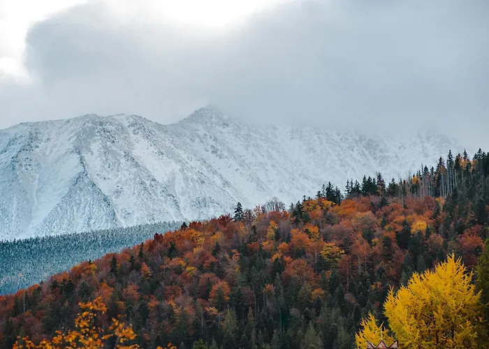 Zakoznami-willa Wypocynek Apartman Zakopane