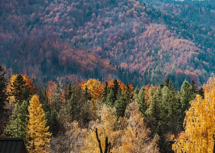 Zakoznami-willa Wypocynek * Zakopane